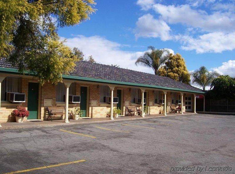 Hunter Valley Motel Σέσνοκ Εξωτερικό φωτογραφία